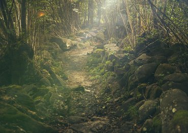 Shutterfrontier